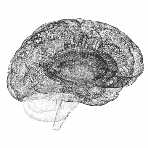 An animated wireframe brain, used as a visual metaphor for understanding.
